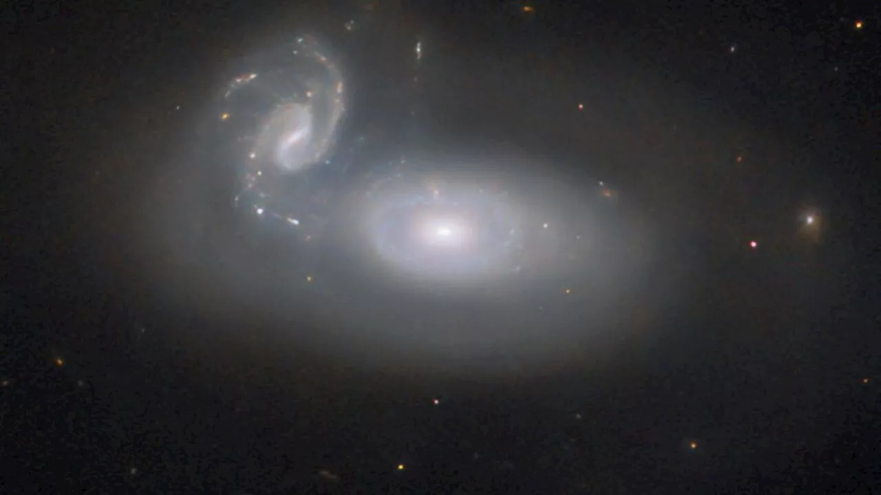 Galaxies get tangled up in 'the queen's hair' in new Hubble Telescope image