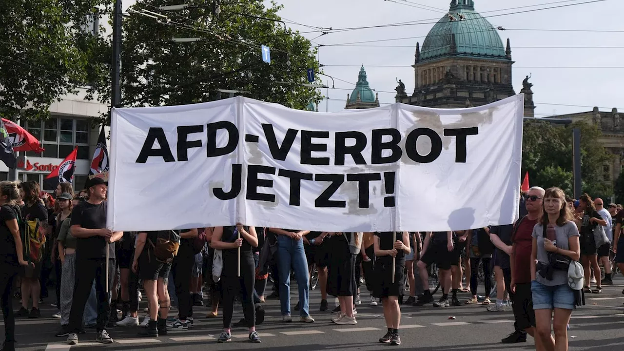 AfD-Verbot: 113 Abgeordnete reichen Antrag im Bundestag ein