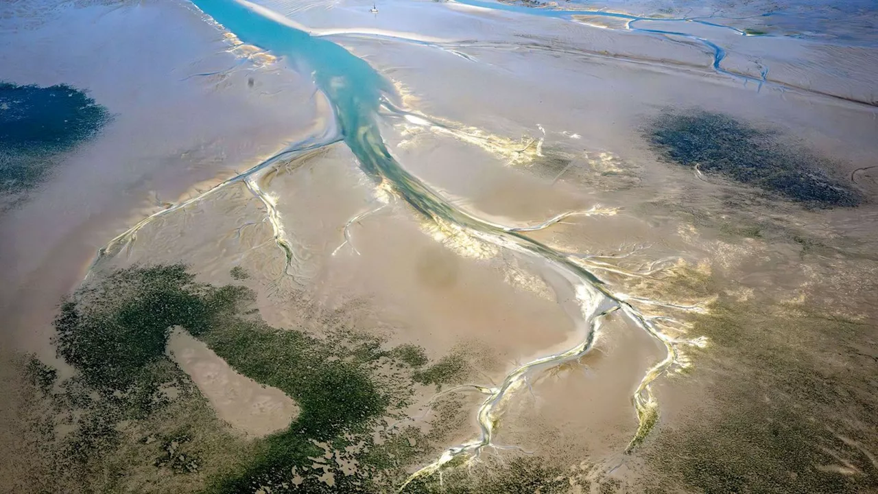 Weltnaturerbeforum: Appell für mehr Zusammenarbeit bei Klimaschutz im Wattenmeer