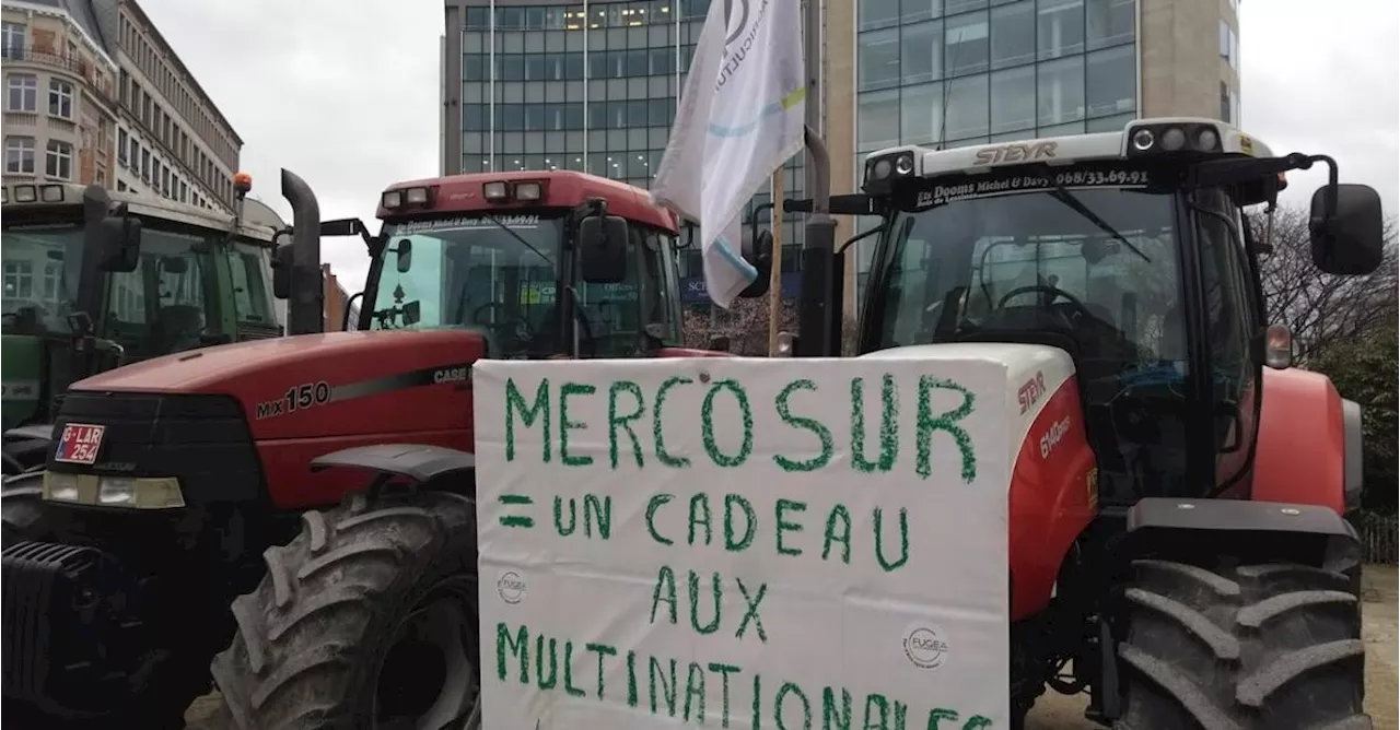 Grogne du monde agricole : la Fugea manifeste à Bruxelles contre l’accord UE-Mercosur