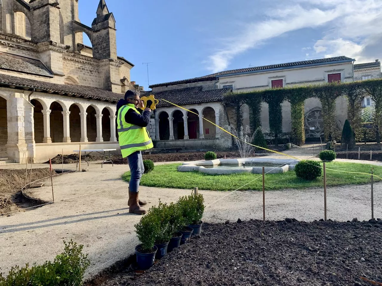 Marmande : 2 500 buis s’apprêtent à être plantés dans le jardin du cloître Notre-Dame