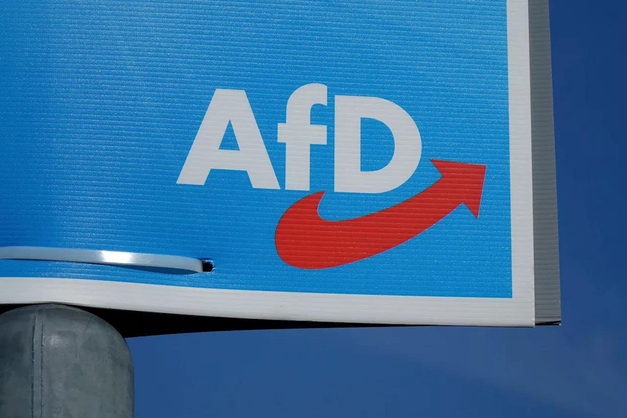 Warum die Start-up-Szene plötzlich über die AfD diskutiert