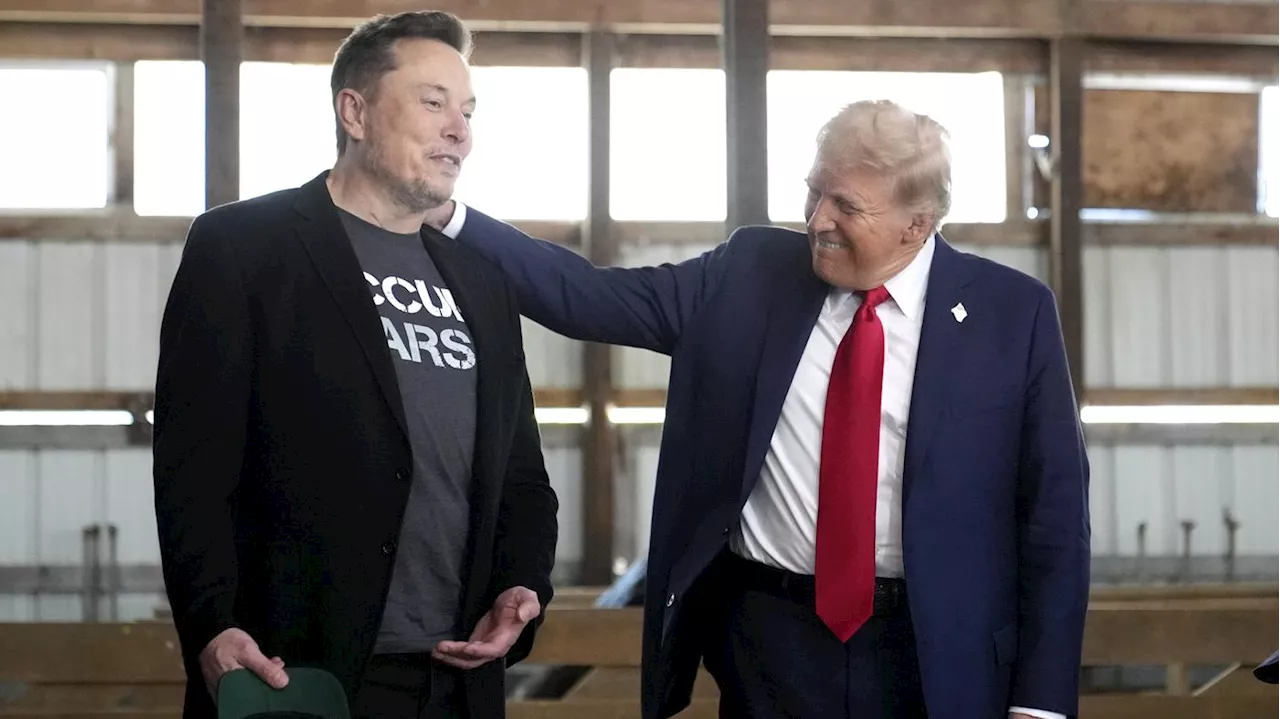 Tech-Milliardär bekommt Top-Posten: Musk soll Trump-Regierung bei Ausgaben-Kürzungen helfen