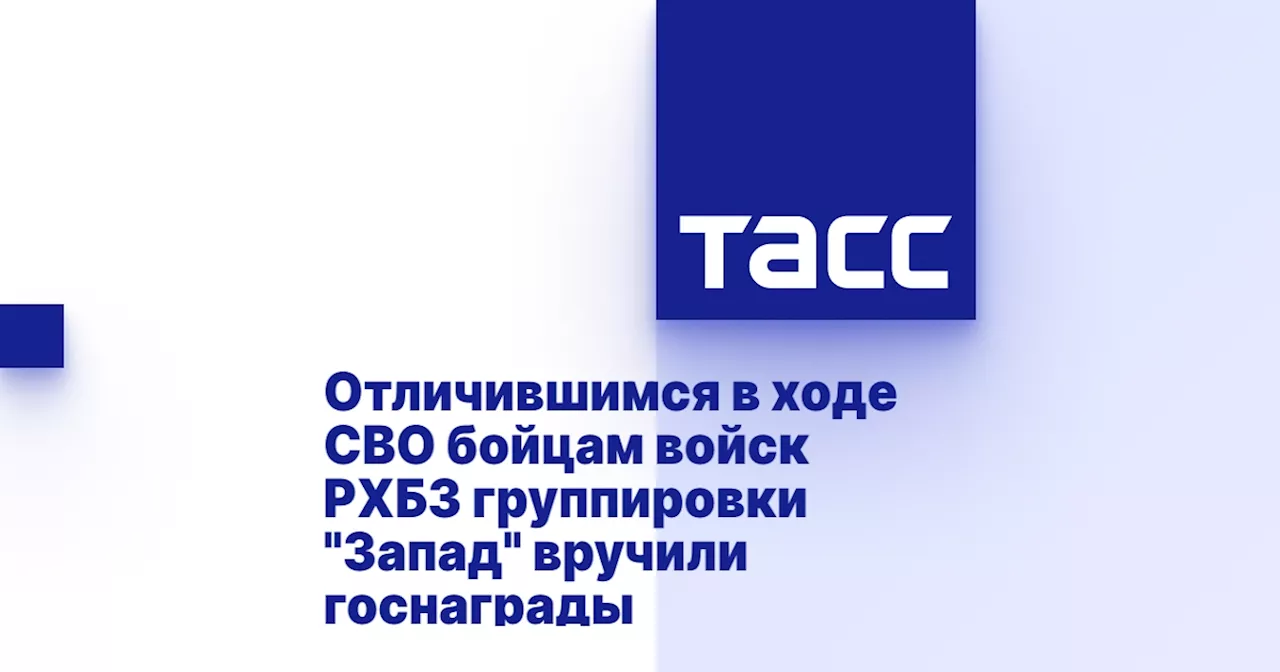 Отличившимся в ходе СВО бойцам войск РХБЗ группировки 'Запад' вручили госнаграды