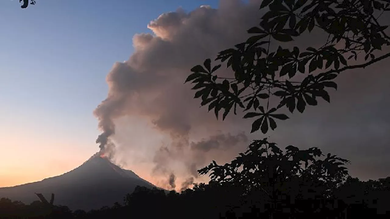 BMKG: Hanya Angin yang Mampu Kurangi Partikel Debu Vulkanik Gunung Lewotobi Laki-laki