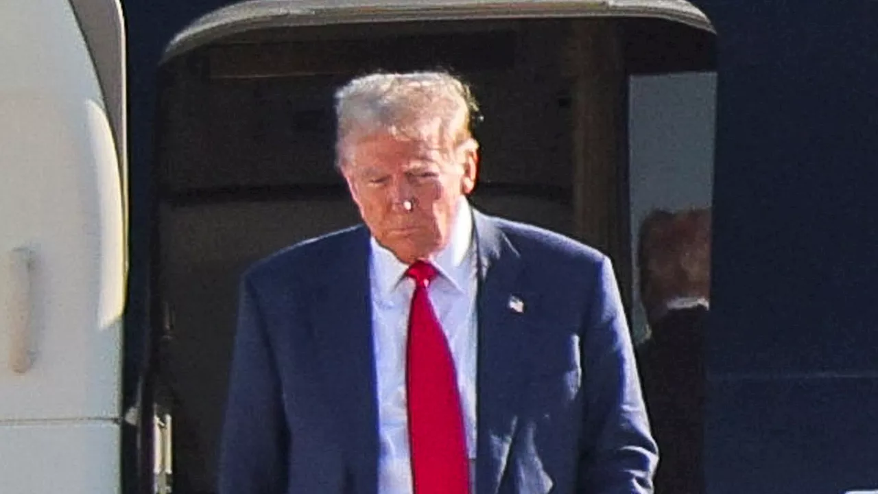 Donald Trump arrives in DC with Elon Musk ahead of Joe Biden meeting after giving Tesla CEO role in new...