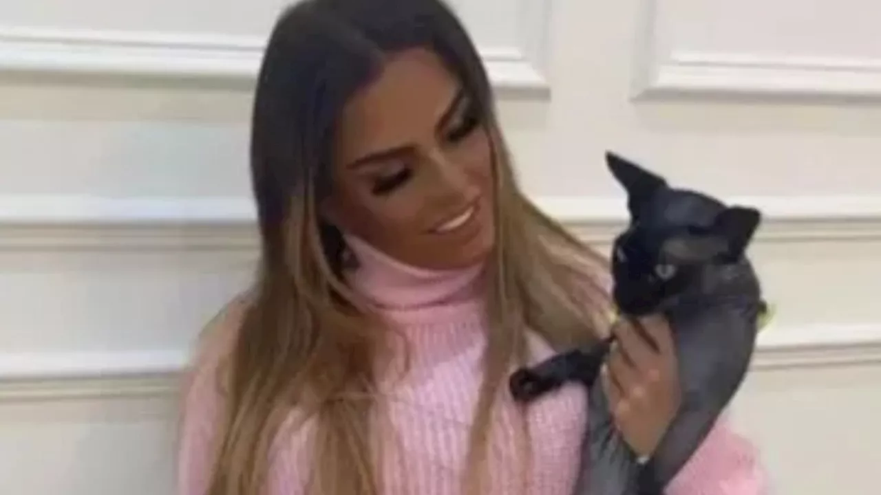 Katie Price admits ‘losing’ cat Hagrid by accident as she shows off new pets after being branded ‘serial an...