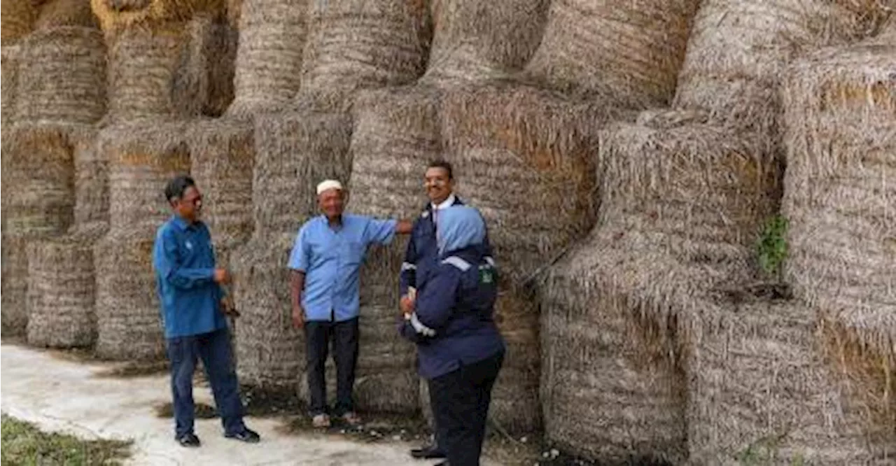 Dua pesawah sertai persidangan perubahan iklim PBB COP29 di Baku hujung minggu ini