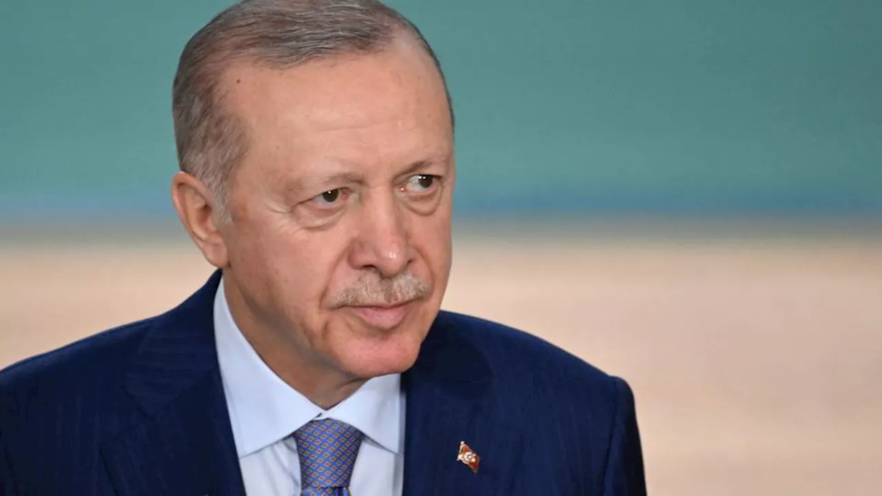 Erdogan expresses hope for Türkiye-Syria relations amid regional concerns