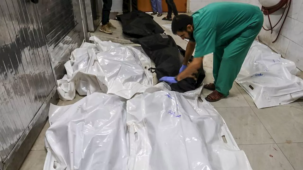 Live blog: Israel kills 7 Palestinians in southern Gaza