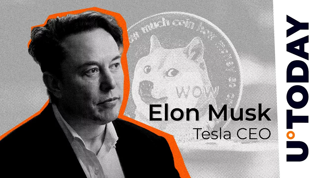 Elon Musk Makes DOGE Army Erupt With Excitement With D.O.G.E. Tweet