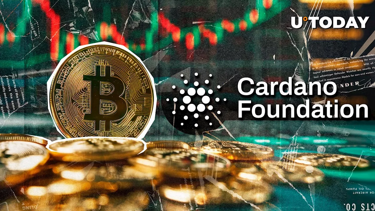 Here's How Much Bitcoin (BTC) Cardano Foundation Holds: Report