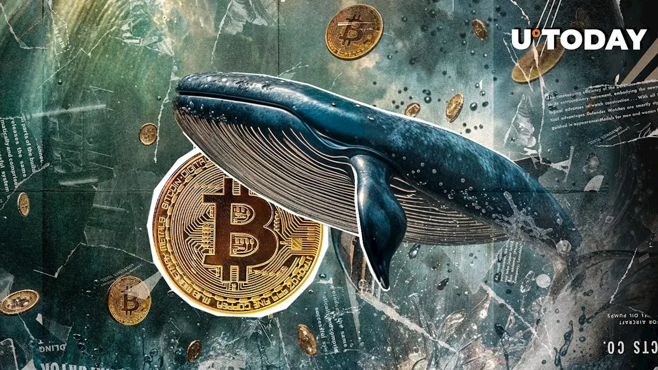 Satoshi-Era Bitcoin Whale With 636,437% Gains Transfers out First BTC in Years