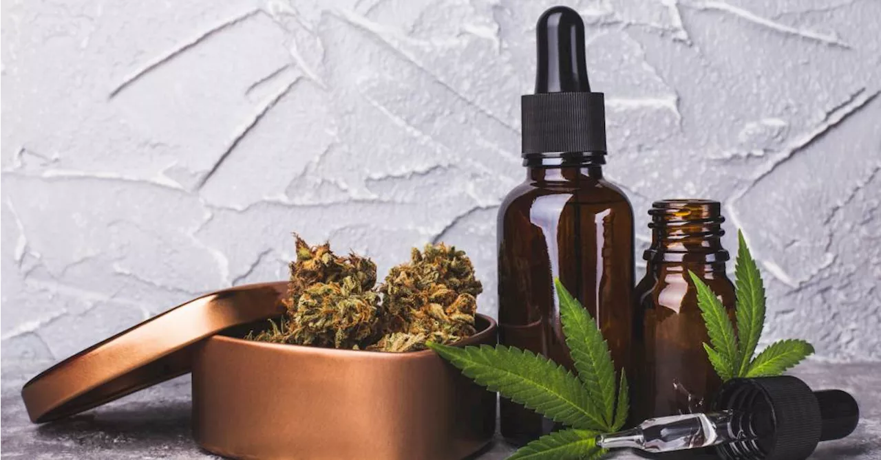 STJ libera plantio de cannabis medicinal por empresas brasileiras