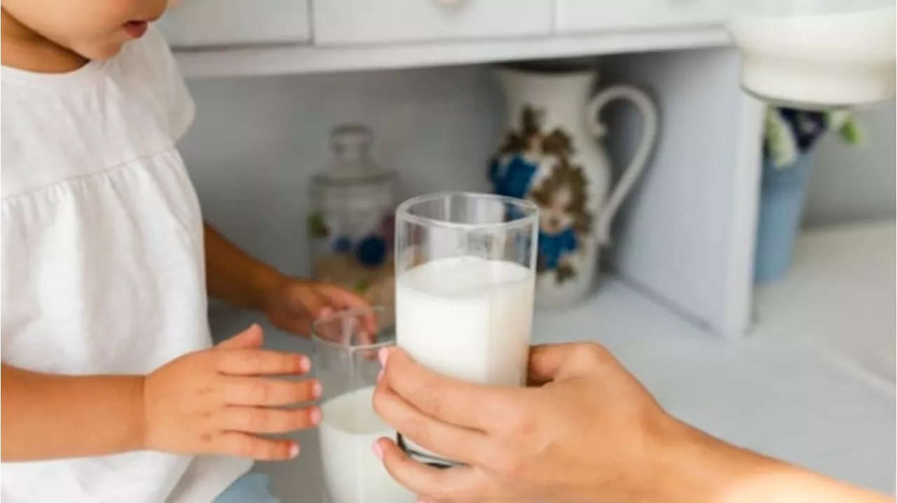 Sering Tak Disadari! Penyebab BB Seret pada Anak Bisa Jadi Karena Alergi Susu Sapi, Begini Penjelasannya