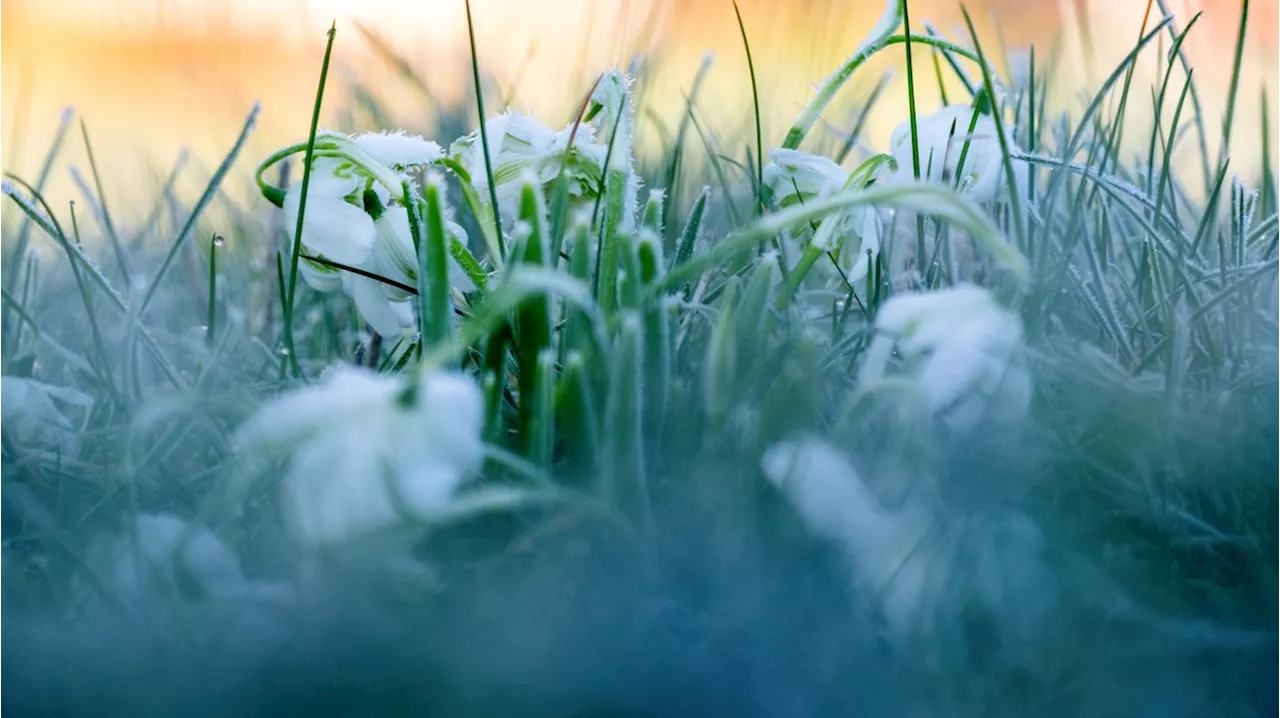 Wetter heute: Am Mittwoch wird es in Deutschland nass