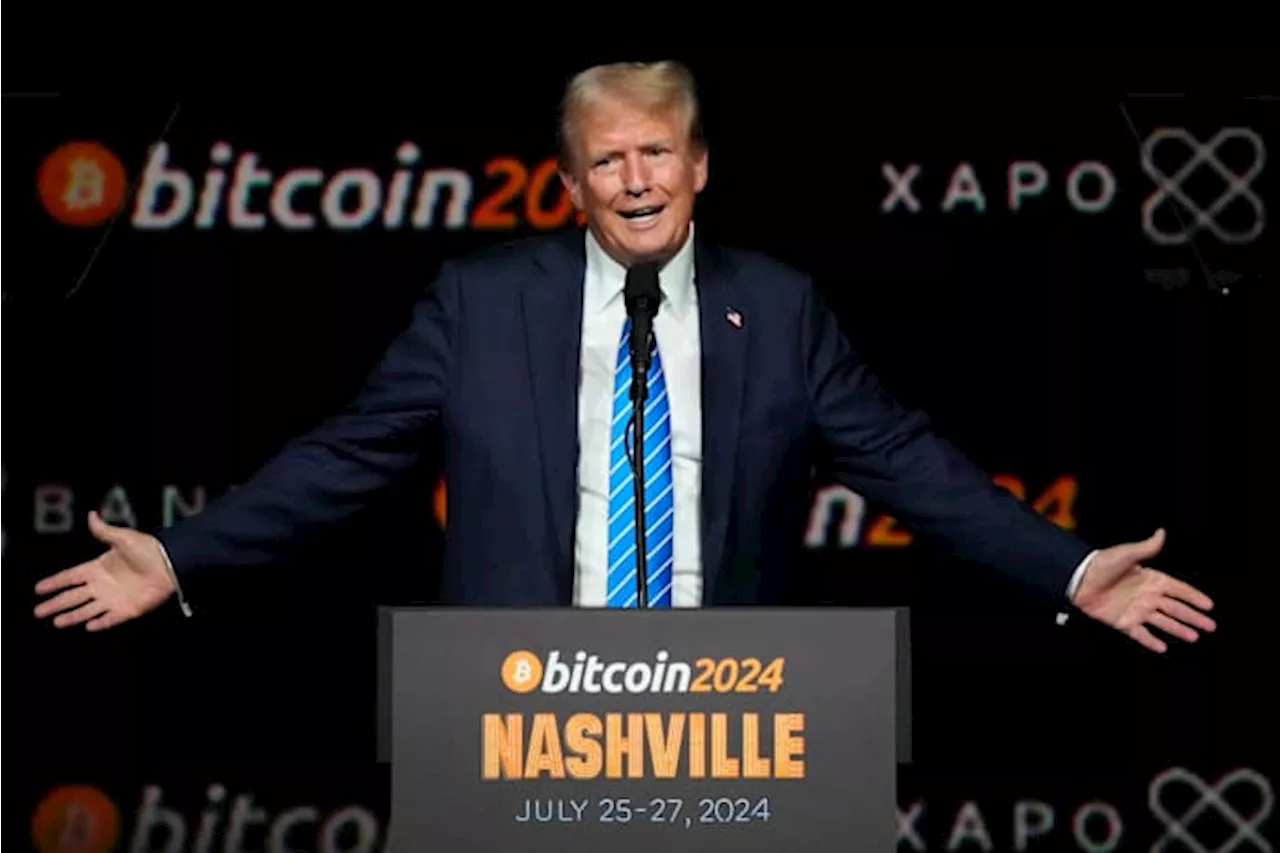 Crypto craze continues as bitcoin hits record high amid Trump presidency optimism