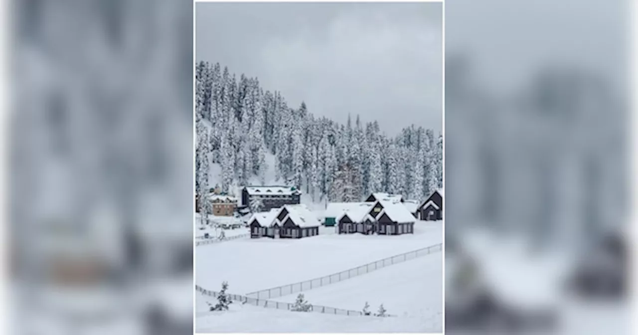 सीजन की पहली बर्फबारी से ढका धरती का स्वर्ग, परिवार संग करें कश्मीर की इन खूबसूरत जगहों का दीदार