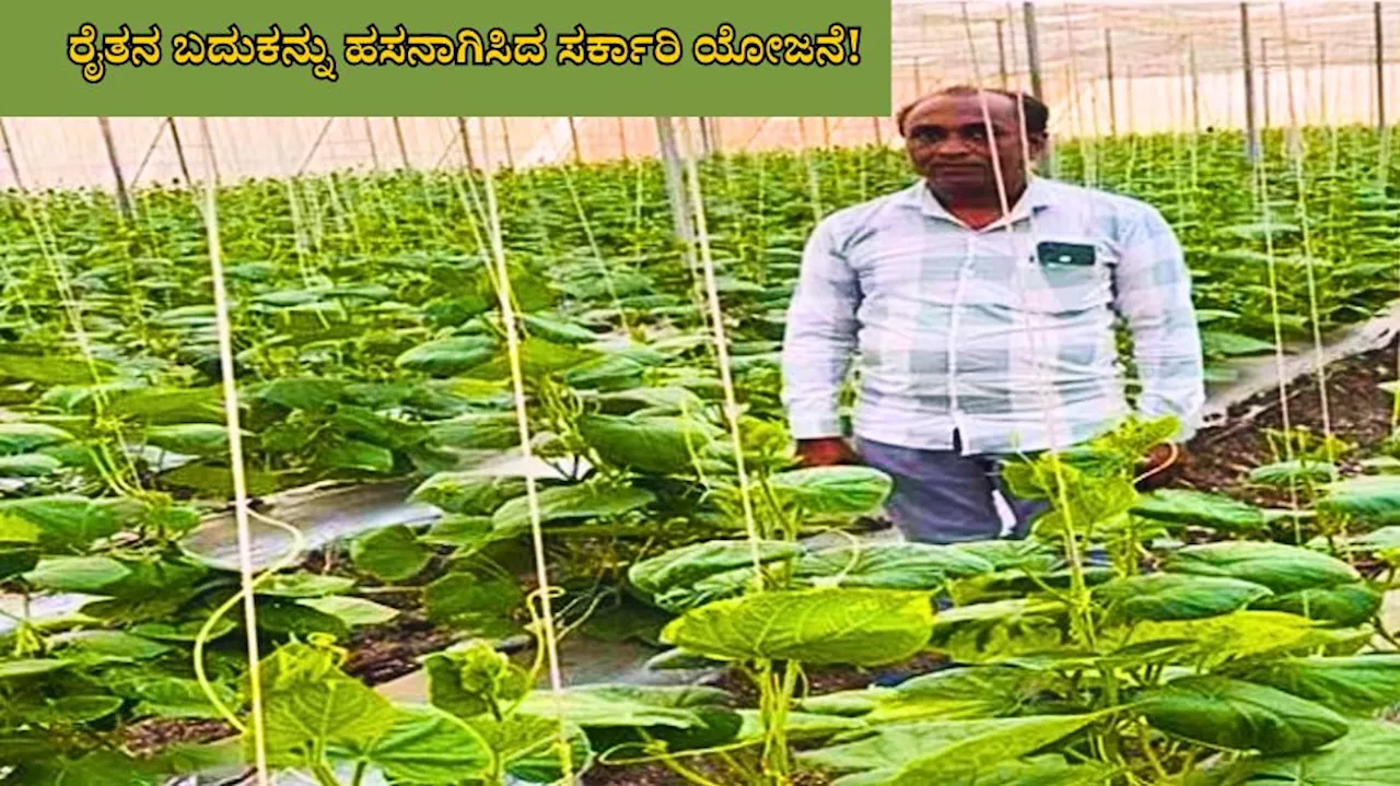 ರೈತನ ಹಣೆಬರಹವನ್ನೇ ಬದಲಾಯಿಸಿದ ಸರ್ಕಾರಿ ಯೋಜನೆ, ಲಕ್ಷಾಂತರ ರೂ. ಲಾಭ ಗಳಿಸಿದ ರೈತನ ಯಶೋಗಾಥೆ!