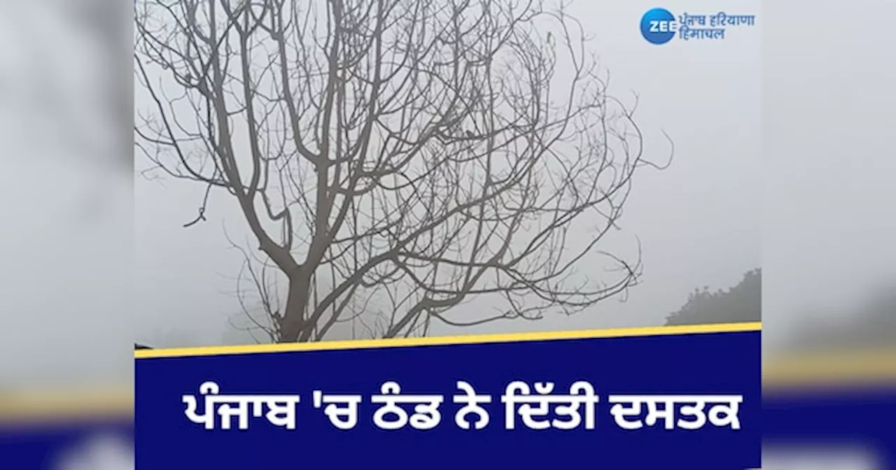 Punjab Chandigarh Weather: ਪੰਜਾਬ ਤੇ ਚੰਡੀਗੜ੍ਹ ਚ ਅੱਜ ਸੰਘਣੀ ਧੁੰਦ ਨਾਲ ਠੰਢ ਦੀ ਦਸਤਕ! ਆਵਾਜਾਈ ਦੀ ਰਫ਼ਤਾਰ ਪਈ ਮੱਠੀ