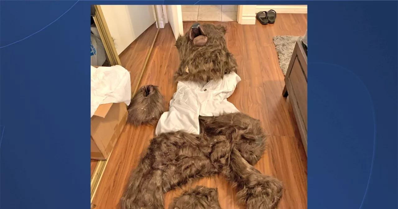 4 LA-area residents accused of using fake bear suit to claim vehicle damage