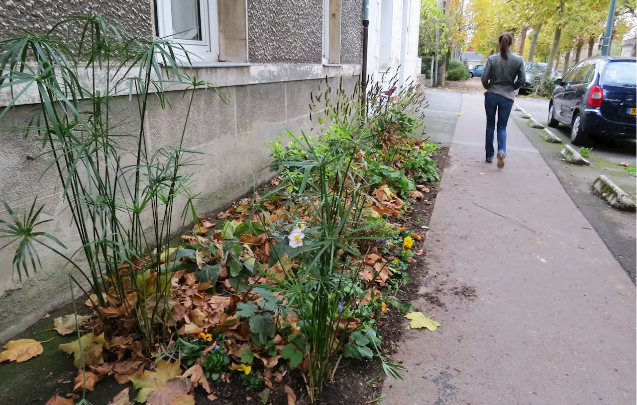 Aveyron : Une habitante de Rodez violée par un homme de 22 ans en pleine rue