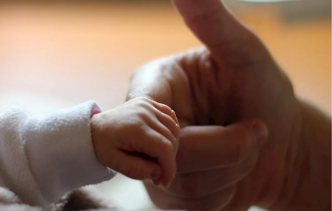 En Bretagne, on fait de moins en moins de bébés (et ça pourrait durer)