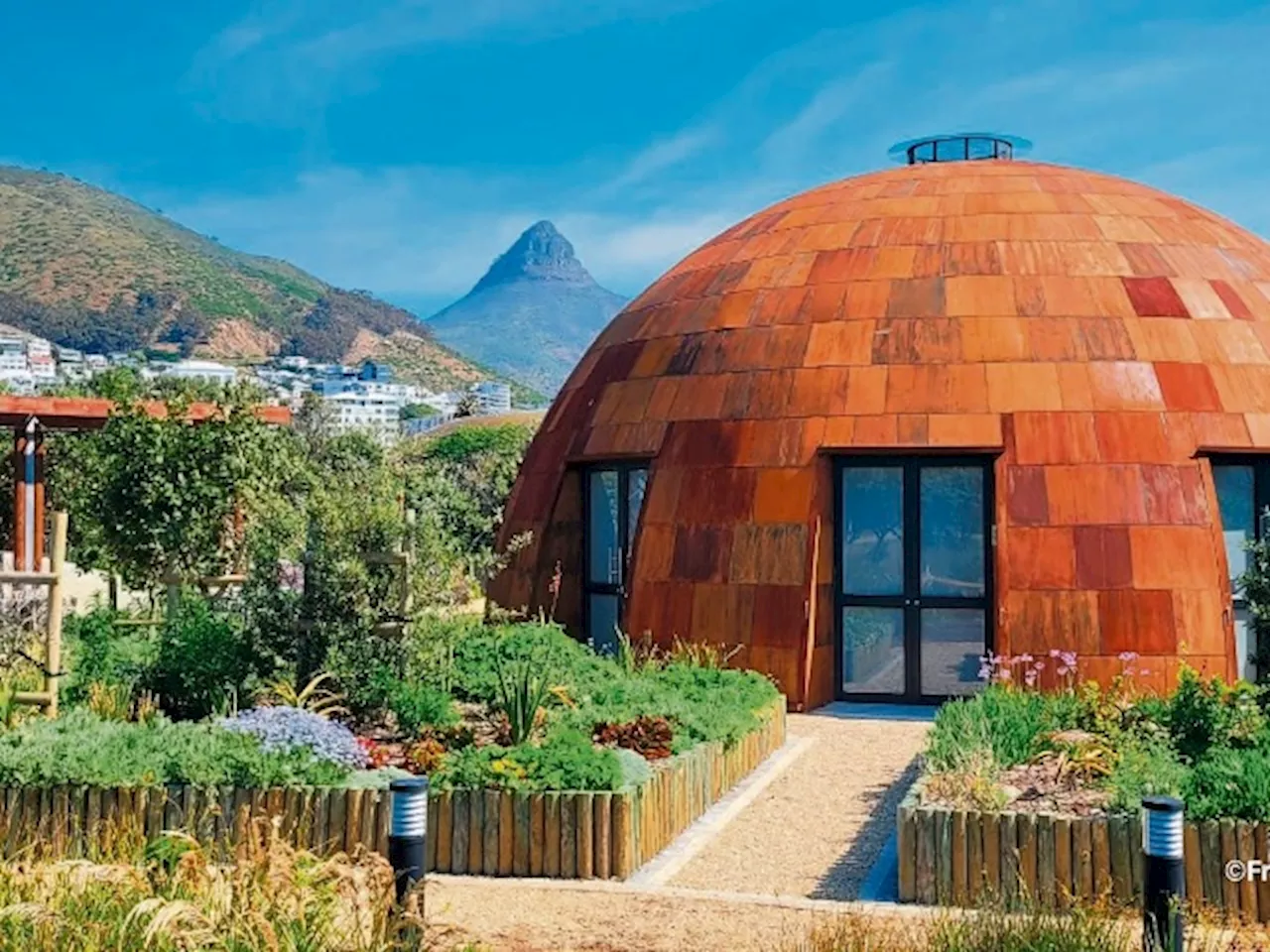 Cape Town’s First Mass Timber Dome In Green Point Showcases First ...