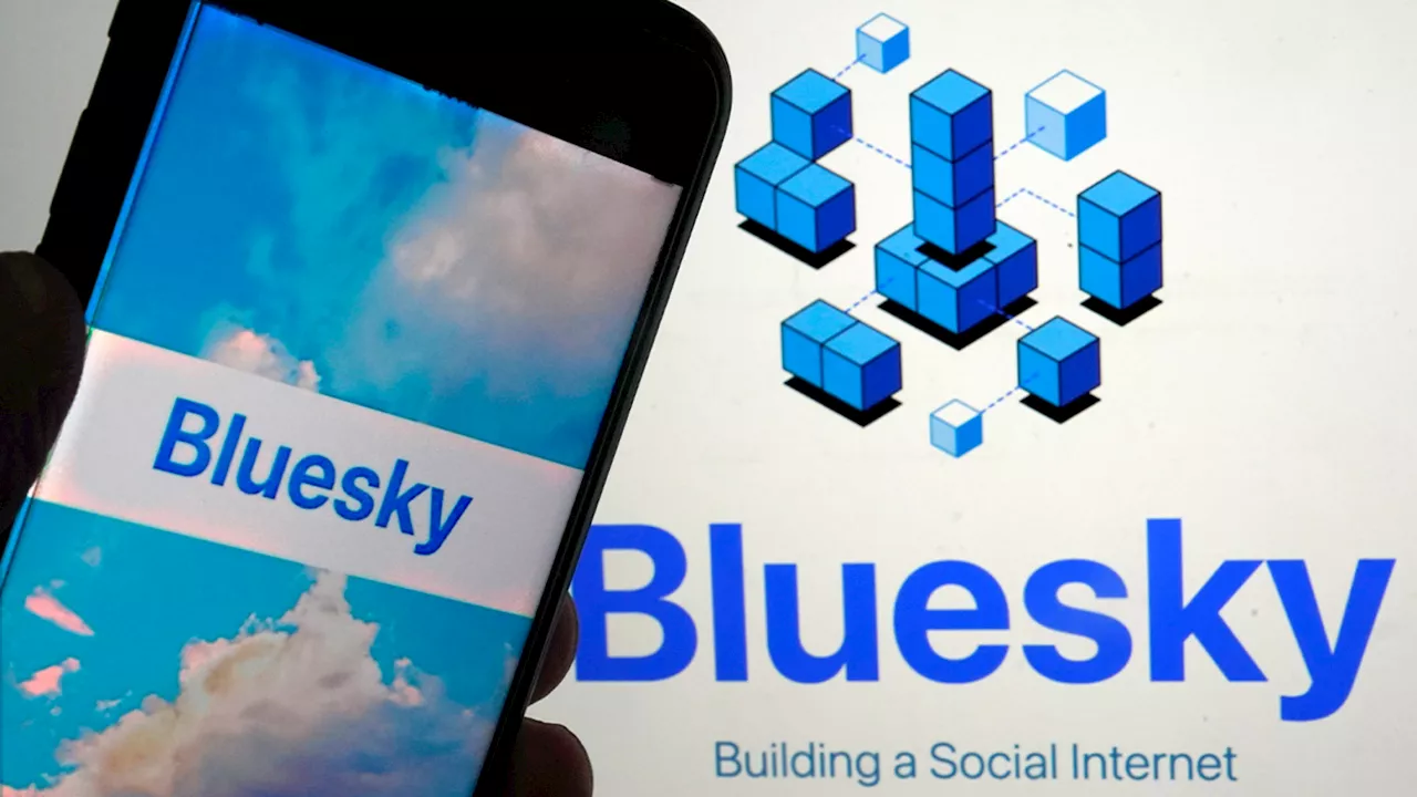 Bluesky Has Added 1 Million Users Since The Us Election As People Seek 