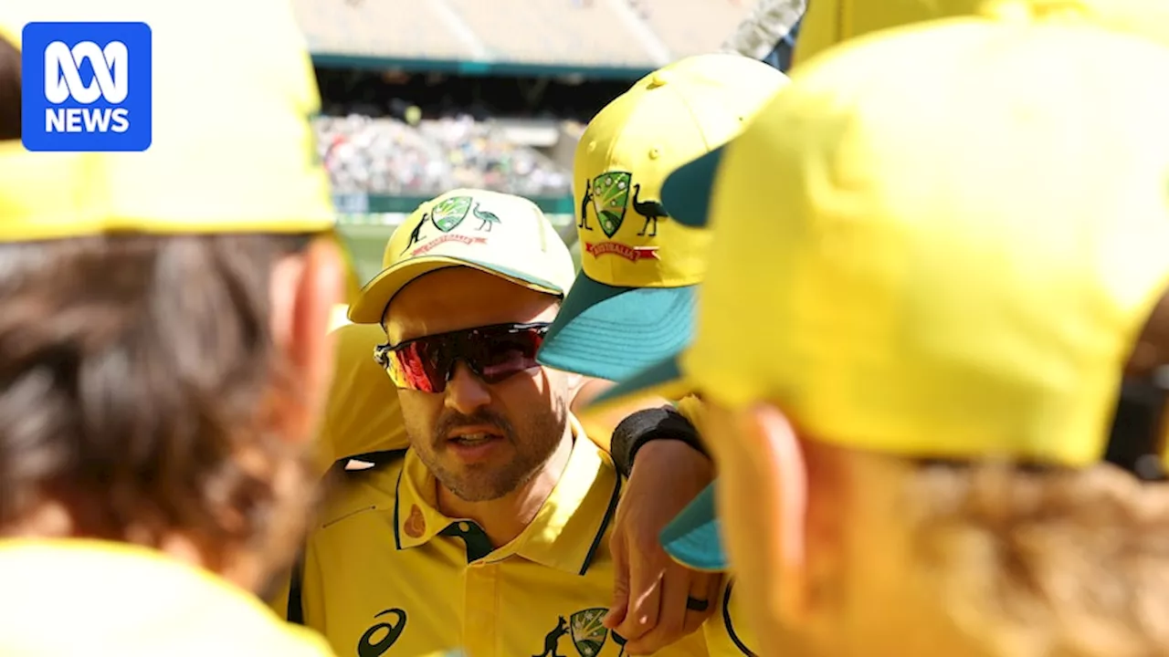 Australia vs Pakistan live text updates, first T20 international at the Gabba in Brisbane