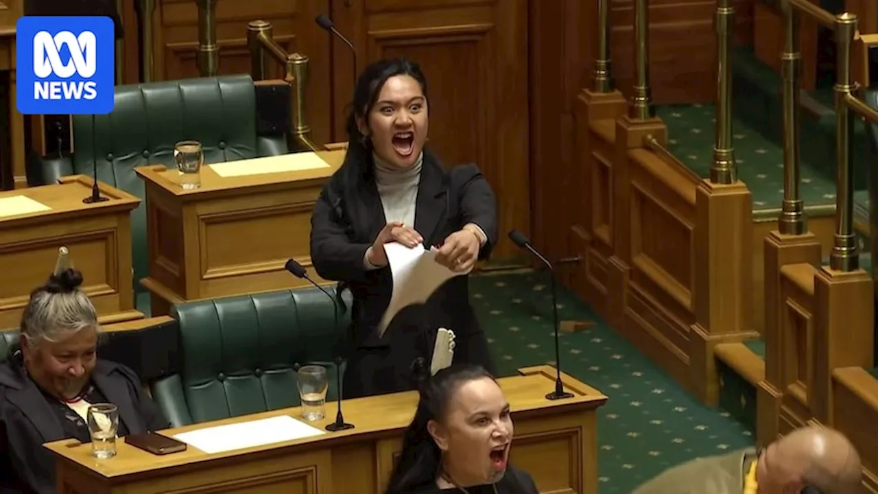 New Zealand Parliament suspended after haka protest over Māori rights bill