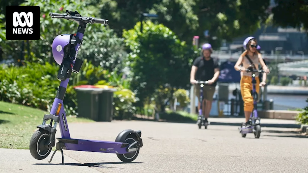 Queensland e-scooter rules are not slowing rider injuries as emergency department presentations soar