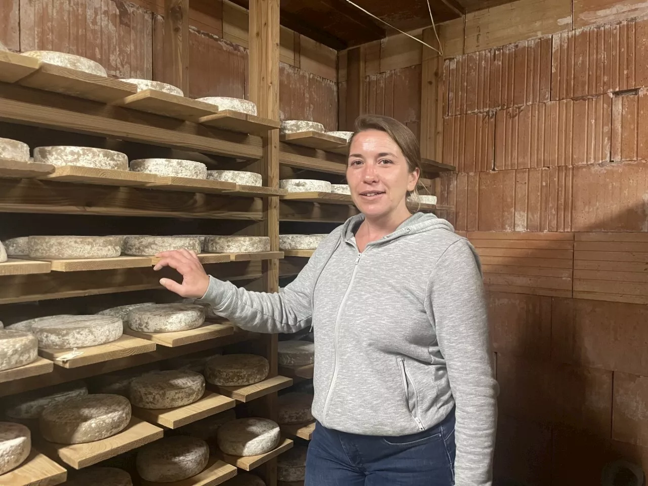 Cette tomme fabriquée entièrement par des éleveurs de la Manche, rencontre un succès fou