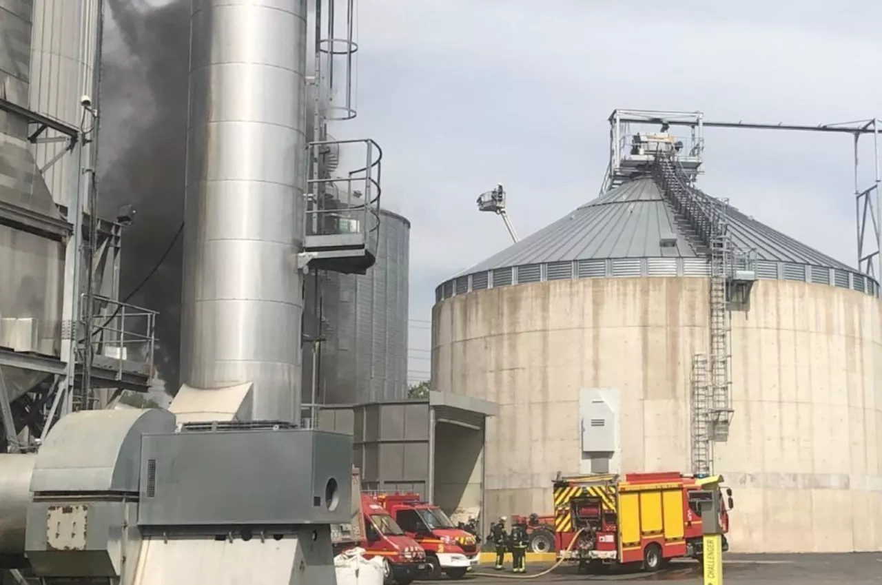 Val-d'Oise : plus de 90 pompiers mobilisés pour un feu de silo rempli de céréales