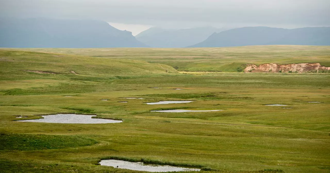 Biden administration throws support behind King Cove road through Izembek wildlife refuge