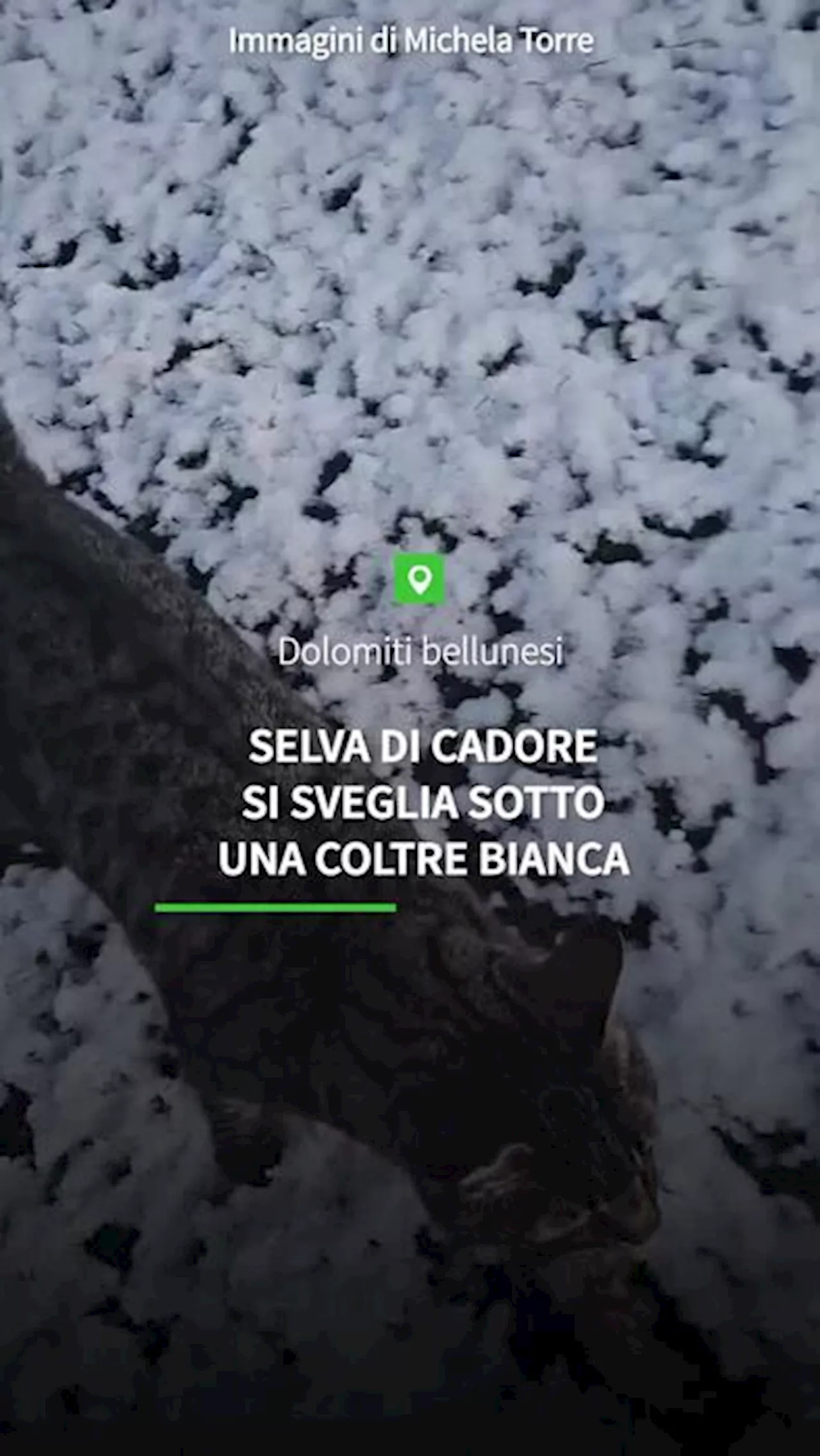 Torna la neve sulle Dolomiti bellunesi