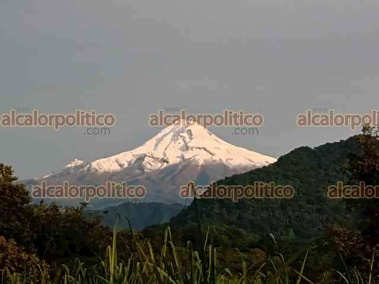 En territorio del municipio de Calcahualco, tala en el Pico de Orizaba es “a diario”