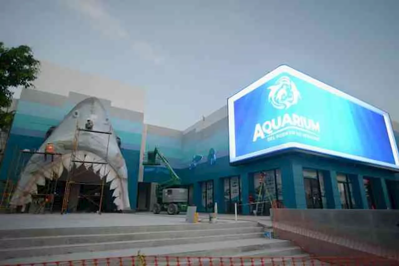 Instalan en la fachada del Aquarium de Veracruz colosal pantalla