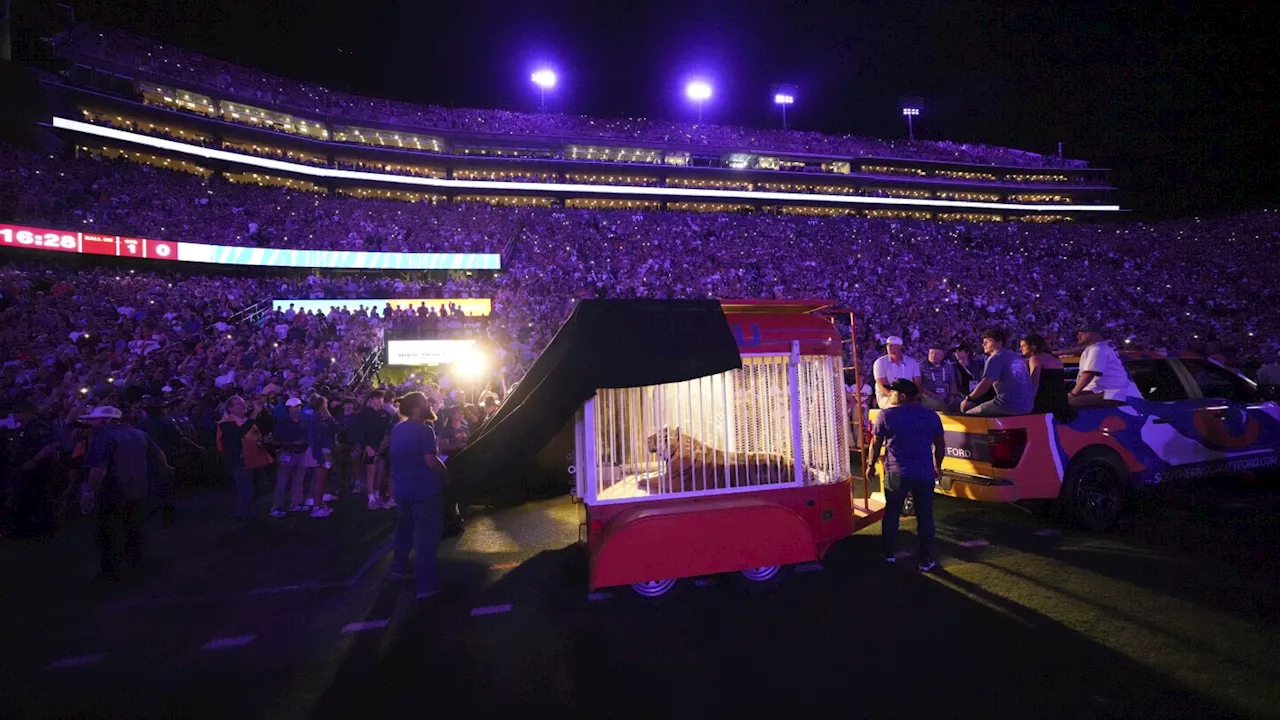 LSU student arrested over threats to governor who wanted a tiger at college football games