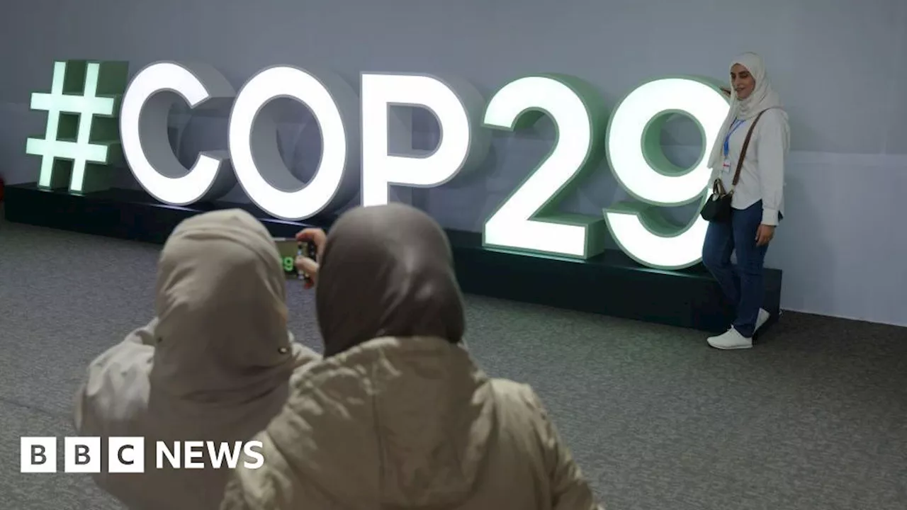 COP29: UN climate talks 'no longer fit for purpose' say experts