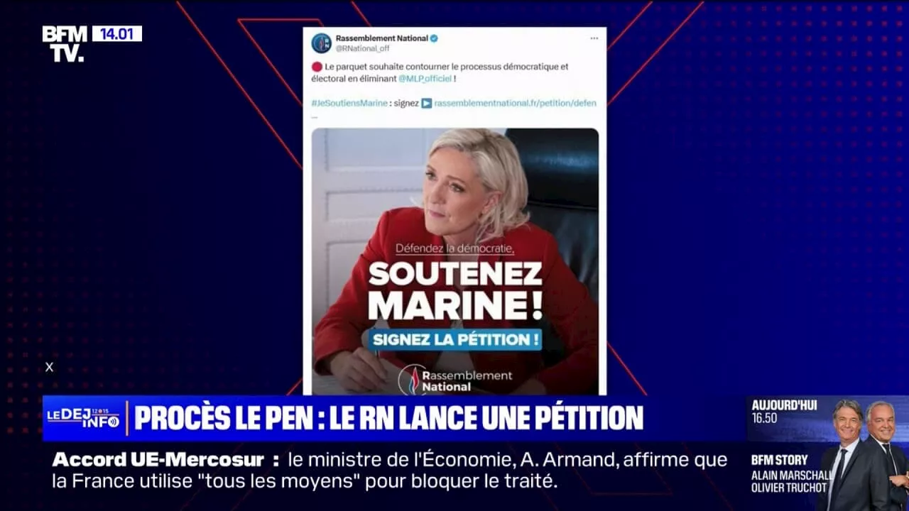 Peine d'inéligibilité de Marine Le Pen: le Rassemblement national lance une pétition de soutien