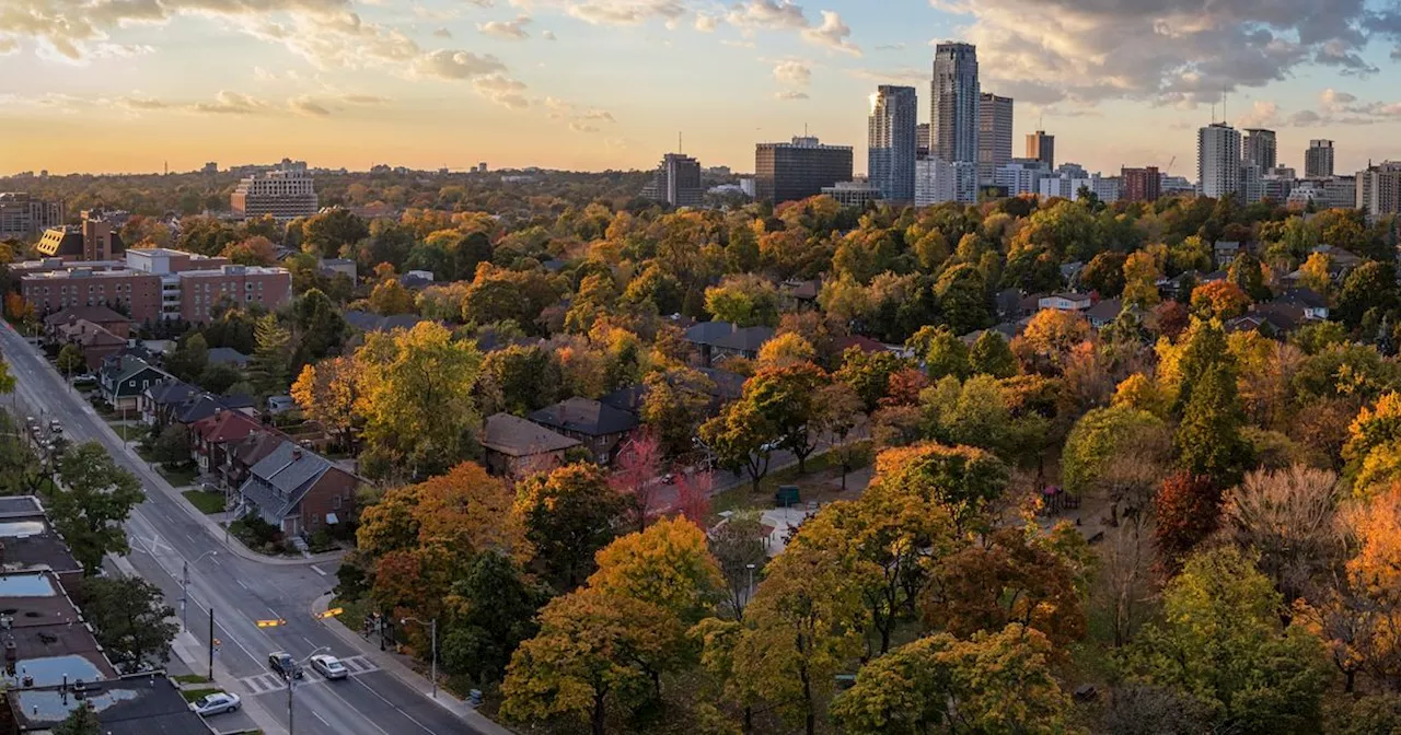 Toronto street will be totally transformed with construction project in 2025