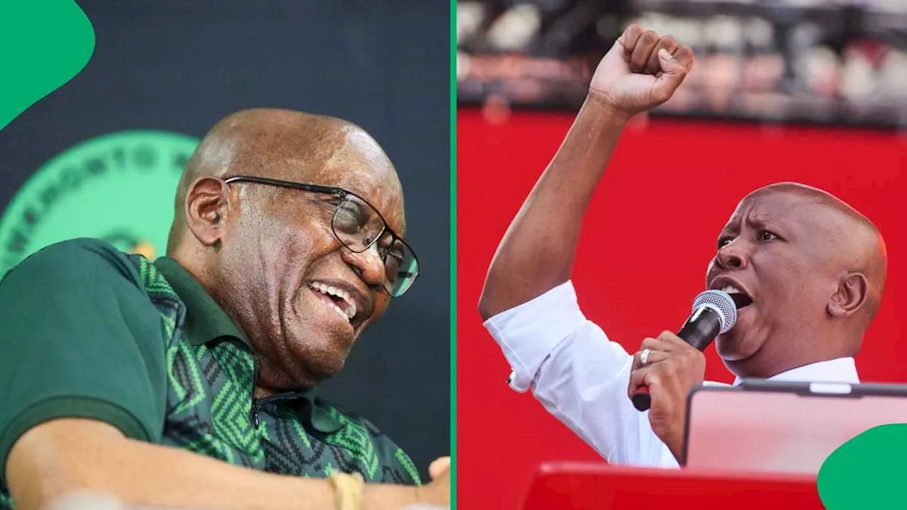 “I Defeated Zuma”: Julius Malema Says He Isn’t Afraid of MK Party Leader, Mzansi Thinks He’s Hurting