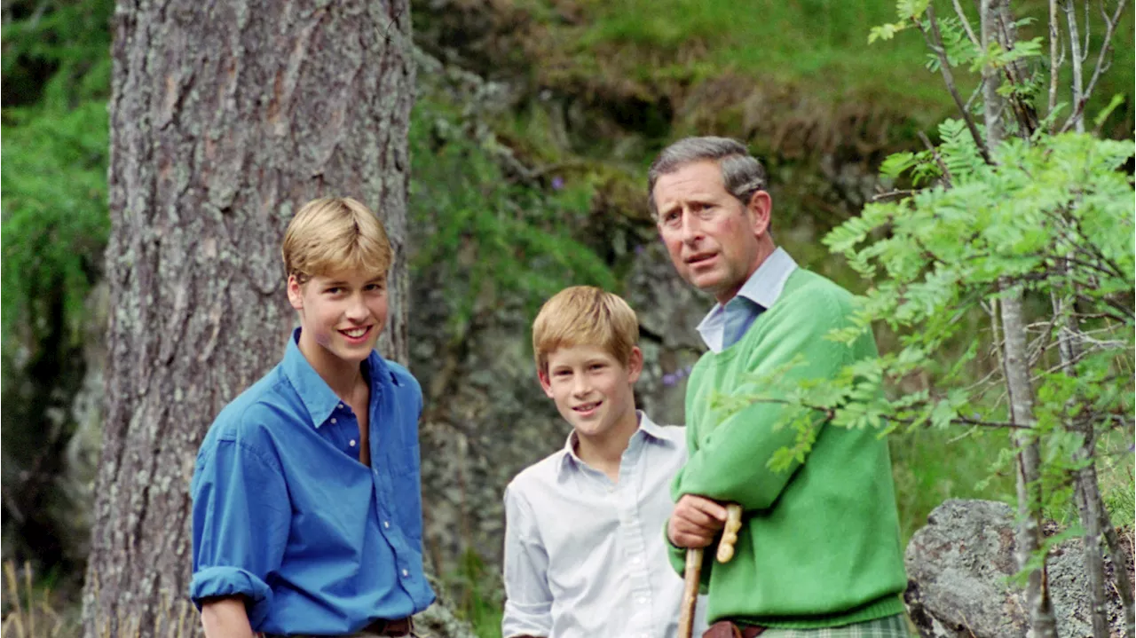 20 Touching Throwback Photos Of King Charles With A Young Prince William And Prince Harry