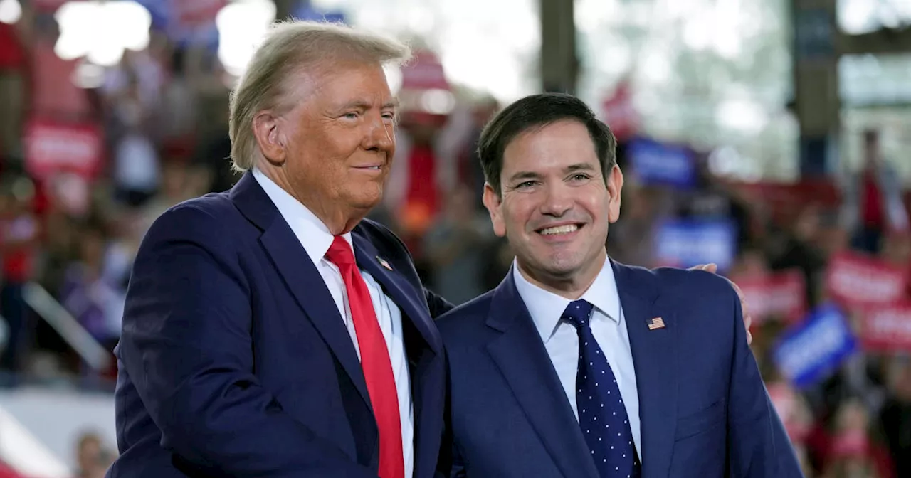 Trump will nominate Marco Rubio for secretary of state