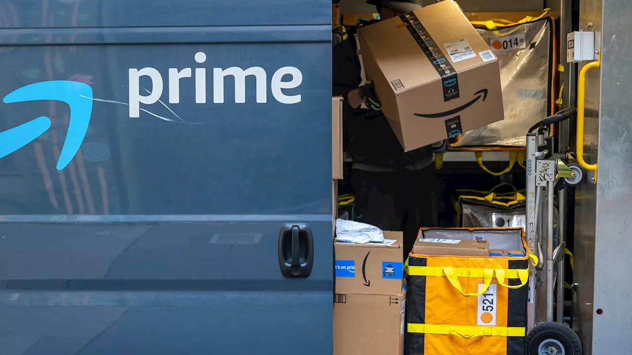 Amazon just released its Temu killer and Bank of America likes the move