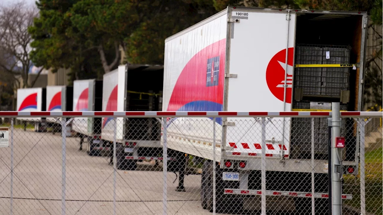 Purolator workers won't handle Canada Post packages if strike occurs, union says