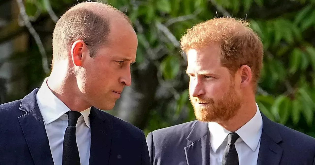 Prince William 'snubbed' after Prince Harry awarded top climate honour