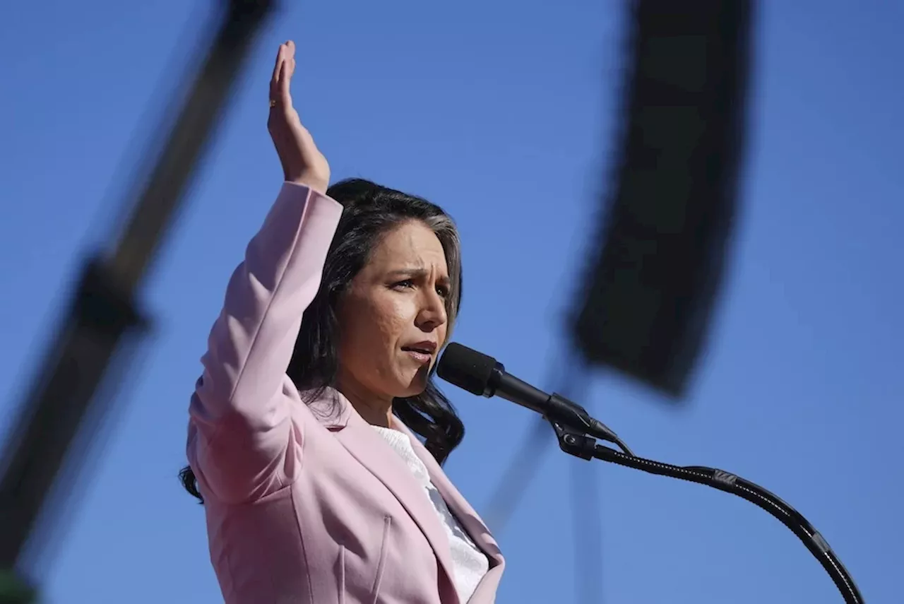 Tulsi Gabbard could face tough path to confirmation as US intelligence chief