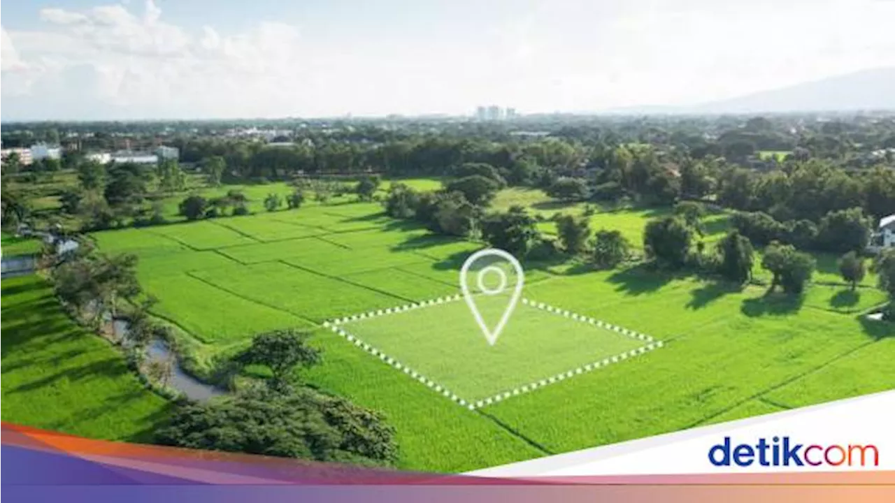 Bisa Secara Online, Begini 7 Cara Cek Harga Jual dan Beli Tanah